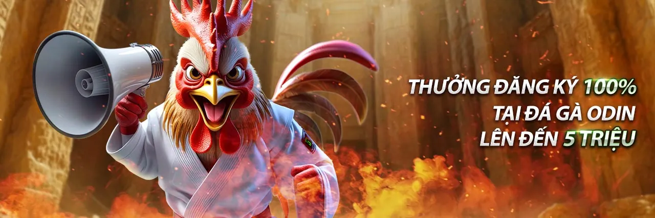 Hình ảnh chính blog 28bet 1 với chủ đề cá cược trực tuyến và giải trí đỉnh cao